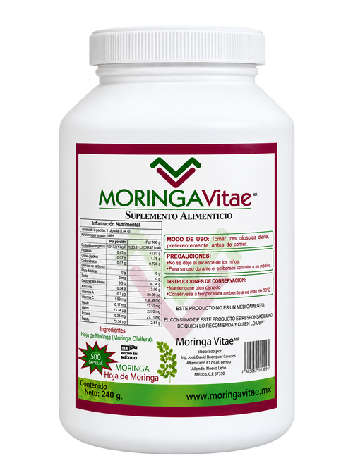 Moringa Vitae frasco de 500 cápsulas